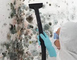 Mold Remediation for Rental Properties in Ronceverte, WV